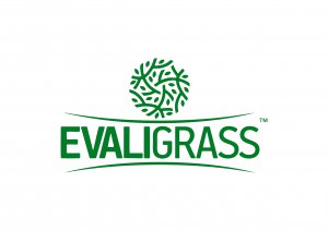 EvaliGrass Grass Fence Manufacturer